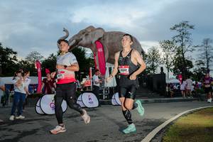 BIB: 
                            <button type="button" onclick="openModal(26529425)" class="btn btn-primary btn-sm float-right btn-popup" data-toggle="modal" data-target=".modal-high-quality">
                        <i class="fas fa-shopping-cart"></i> Add to Cart
                    </button>
                                            <button type="button" onclick="isThisMe(26529425, true)" class="btn btn-success btn-sm float-right btn-popup btn-isme hidden" data-toggle="tooltip" data-placement="bottom" title="นี่คือรูปของคุณใช่ไหม คลิกที่นี่เพื่อเอาเข้าอัลบั้ม">
                        <i class="fas fa-plus"></i> Add to album
                    </button>
                    <button type="button" onclick="isThisMe(26529425, false)" class="btn btn-warning btn-sm float-right btn-popup btn-isnotme hidden">
                        <i class="fas fa-ban"></i> Remove from album
                    </button>